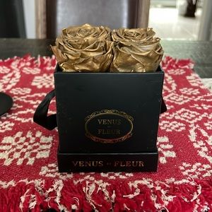 Venus set Fleur Le Petite Black and gold